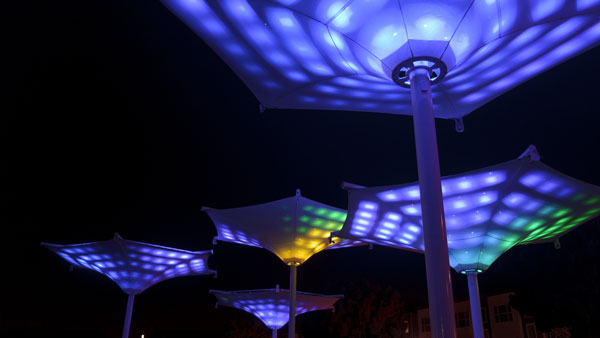 Fresno-DSC03781-HD-600x338px